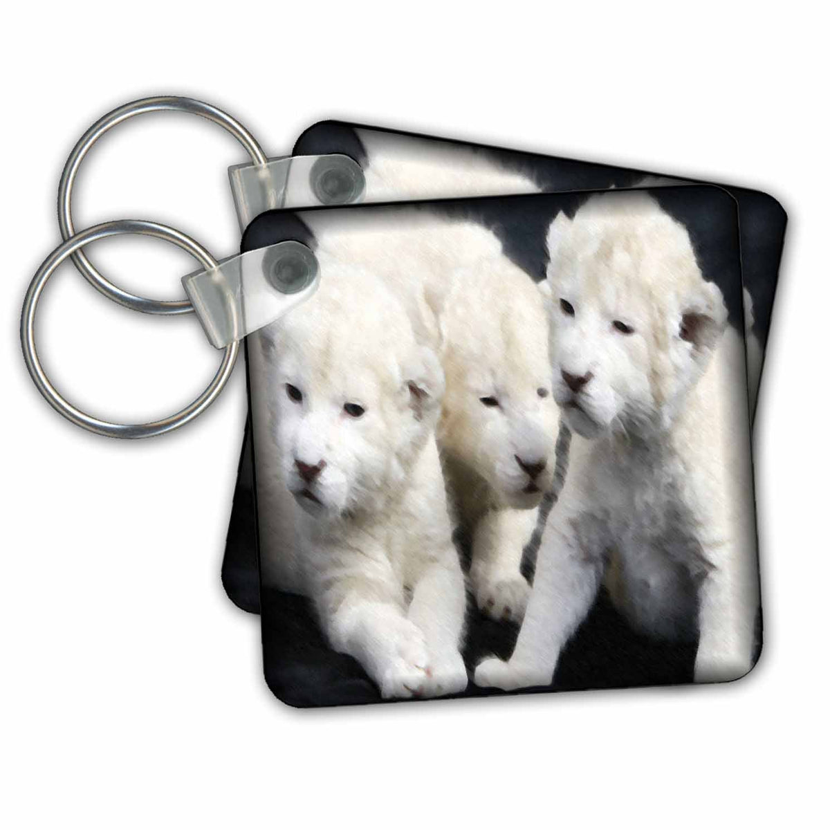 3dRose Key Chains Lion Kids (kc-21279-1)
