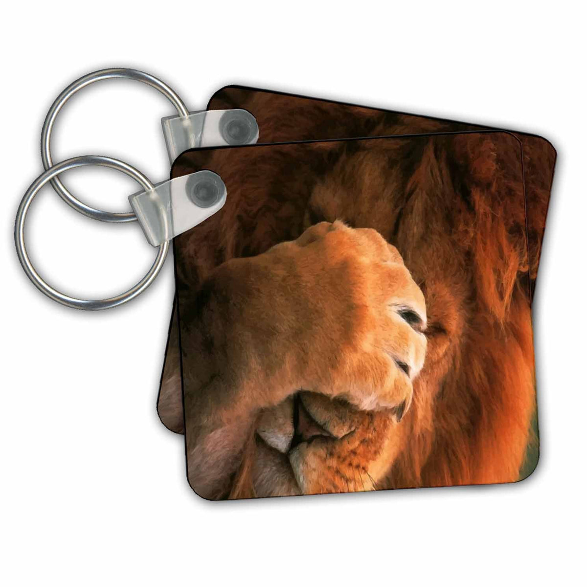 3dRose Key Chains Silly Me (kc-21303-1)
