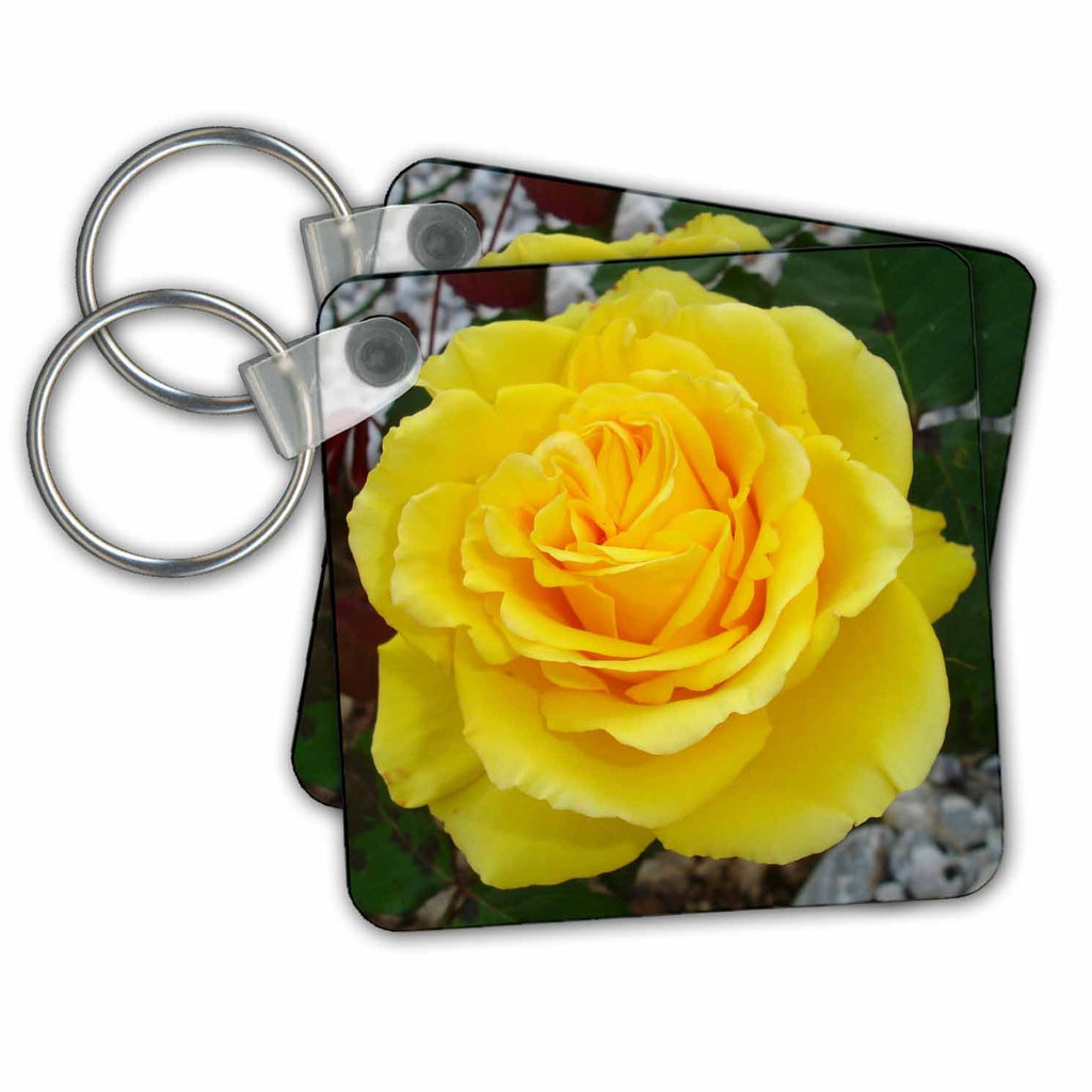3dRose Key Chains Rose Yellow (kc-21329-1)