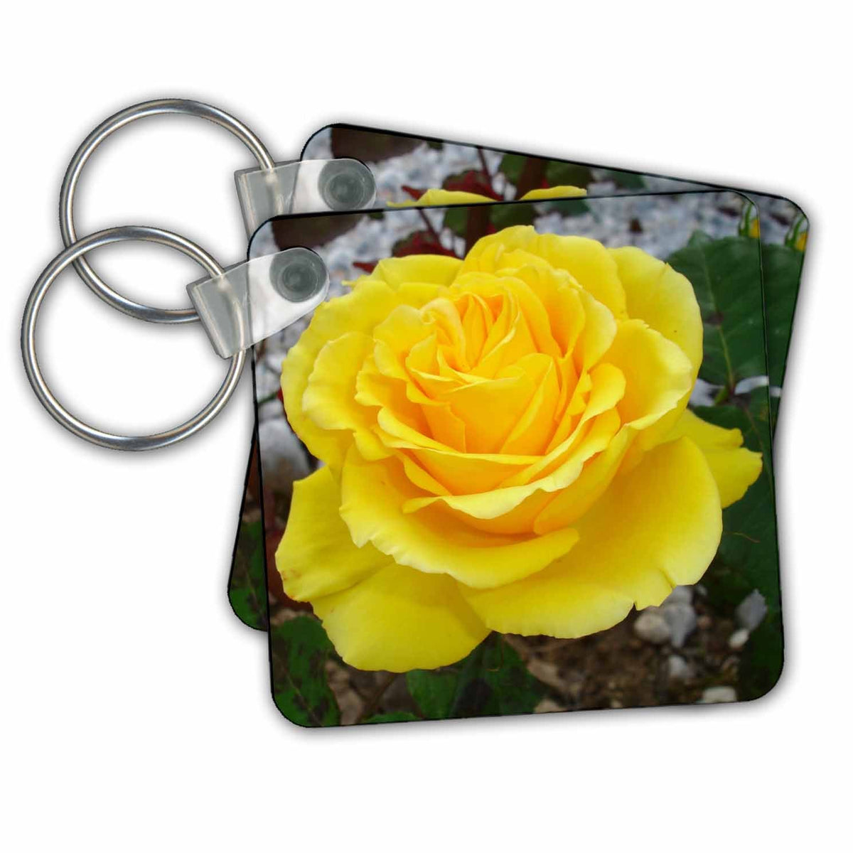 Key Chain - Rose Yellow Photography