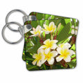 Key Chain - Blossom Frangipani Photography
