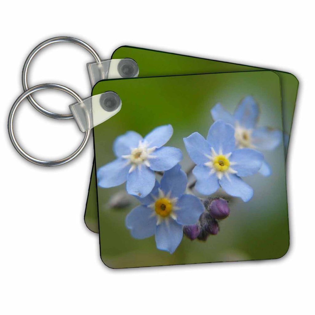 3dRose Key Chains Flower Forget Me Not (kc-21363-1)