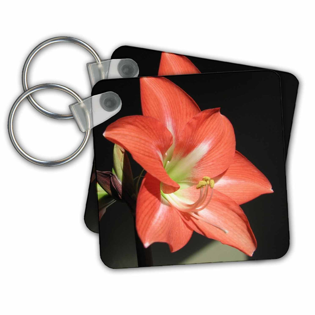 3dRose Key Chains Flowers Amaryllis (kc-21369-1)