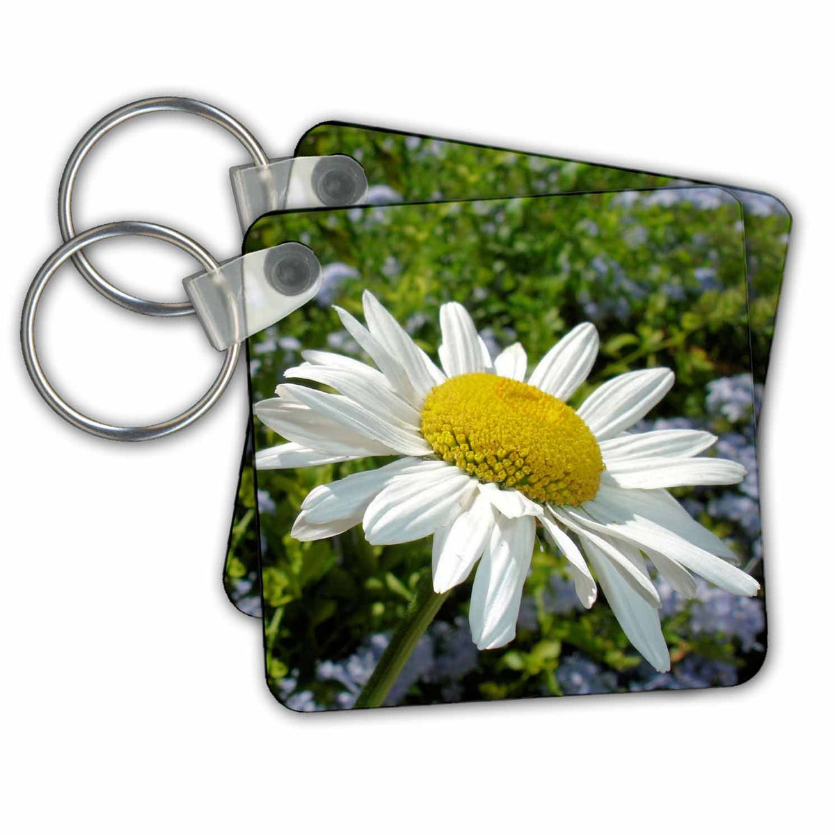 Key Chain - Flower Daisy Photography