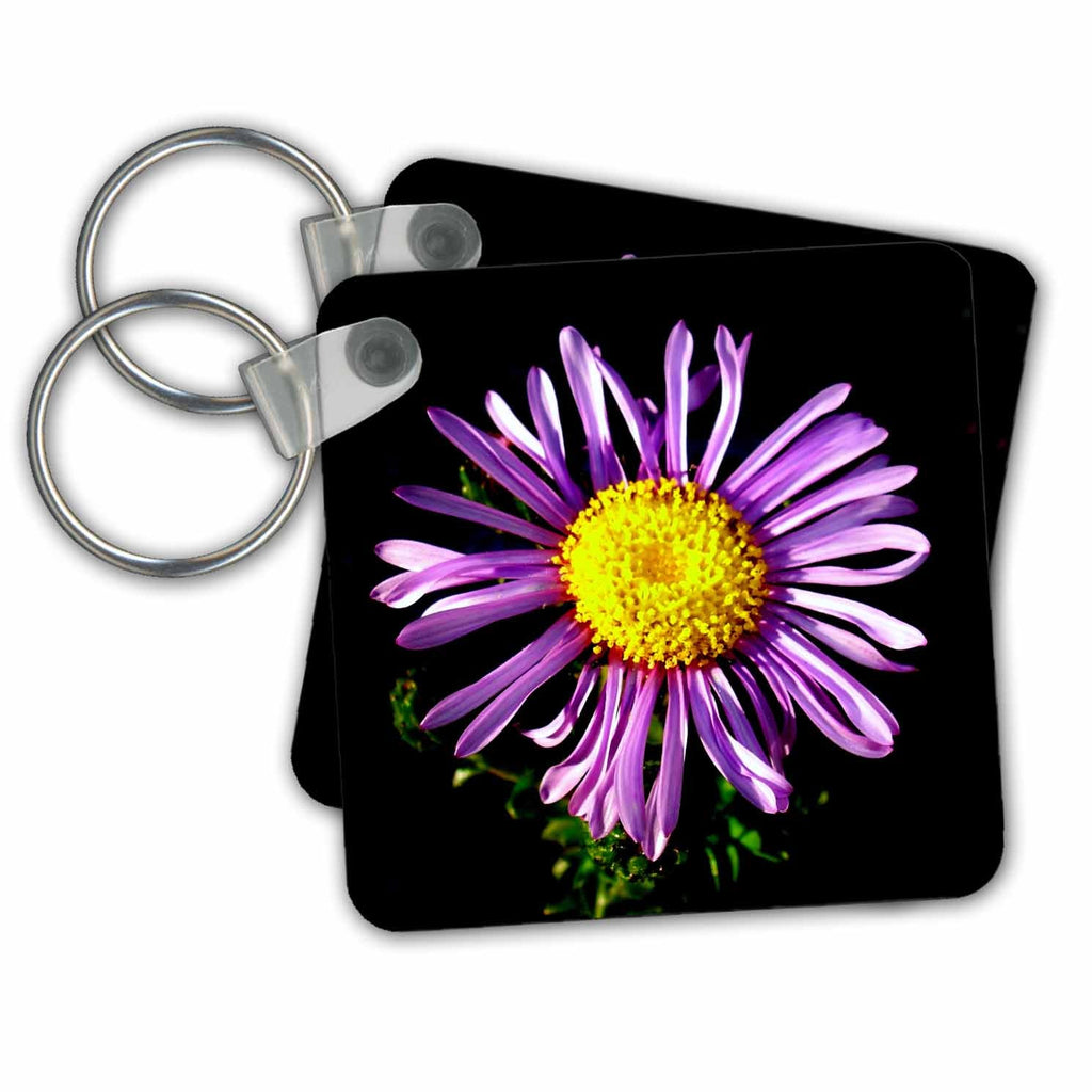 3dRose Key Chains Flower Aster (kc-21397-1)