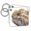 Key Chain - Chameleon With Sinister Facial Expression Isolated Vector - Chameleon