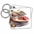 Key Chain - Chameleon with Happy Smiling Expression Vector Vector - Chameleon