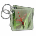 Key Chain - Beautiful Red Skimmer or Firecracker Dragonfly with Border Photography - Dragonfly