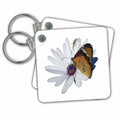 Key Chain - White Daisy and Butterfly Vector Background Removed Vector - Butterfly