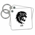 3dRose Key Chains Leo Sign (kc-214707-1)