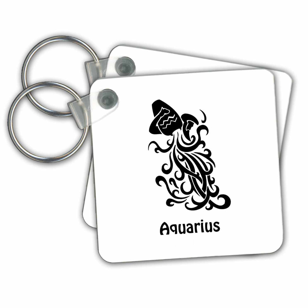 3dRose Key Chains Aquarius Sign (kc-214709-1)