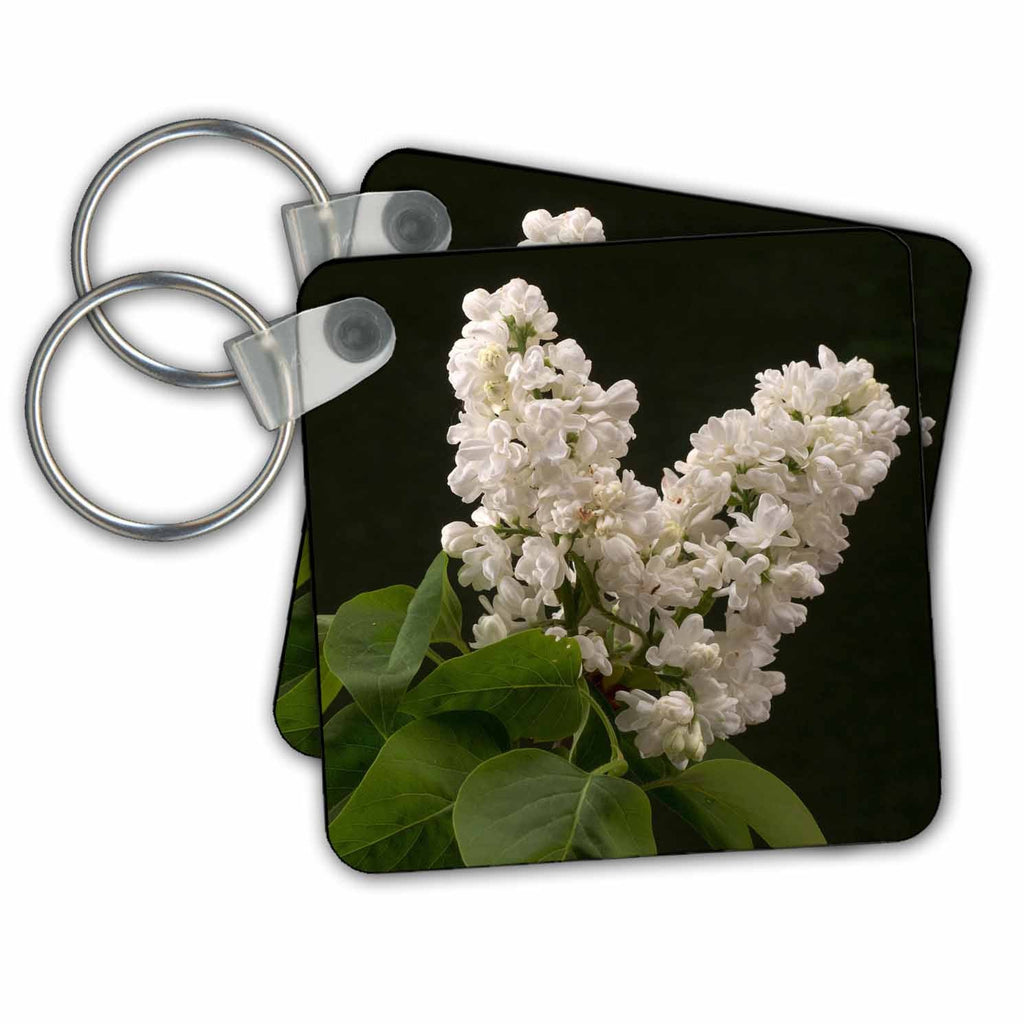 3dRose Key Chains Lilac white spring flowers (kc-215162-1)