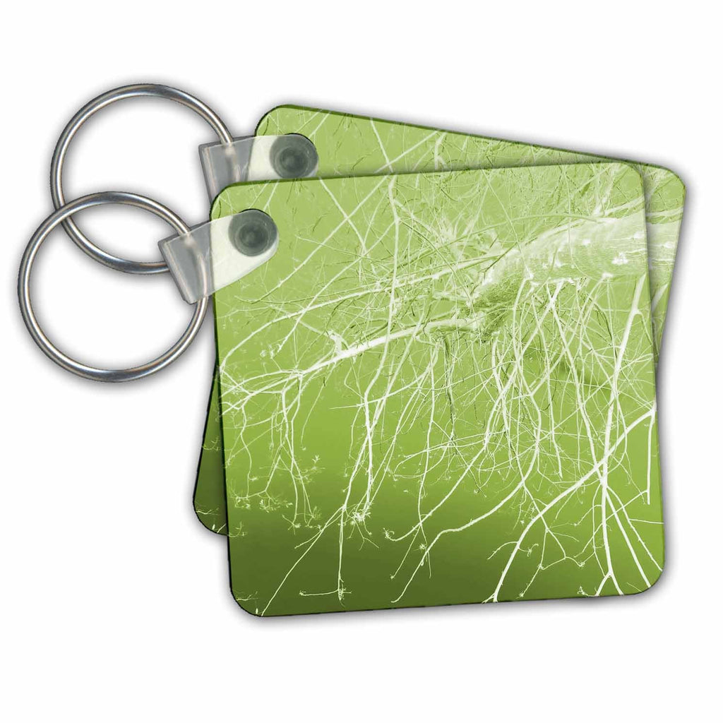3dRose Key Chains Spring Branches (kc-21561-1)