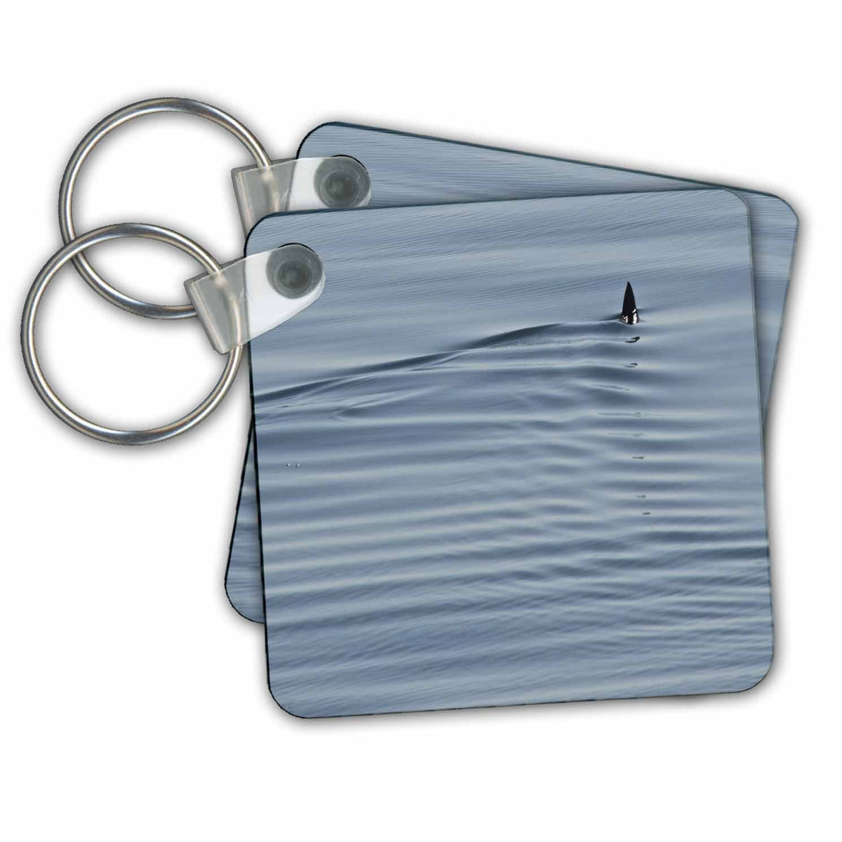 3dRose Key Chains Smooth Hammerhead Shark, Sphyrna Zygaena (kc-216079-1)