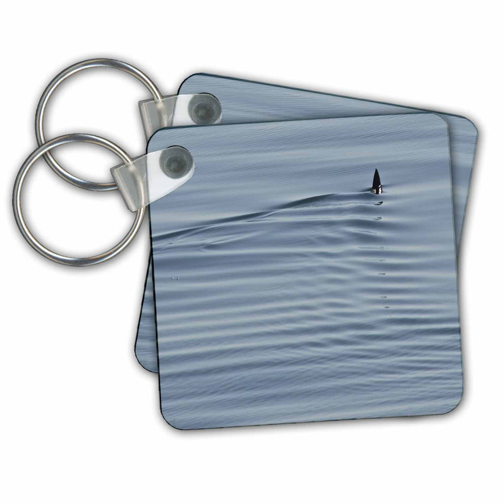 3dRose Key Chains Smooth Hammerhead Shark, Sphyrna Zygaena (kc-216079-1)