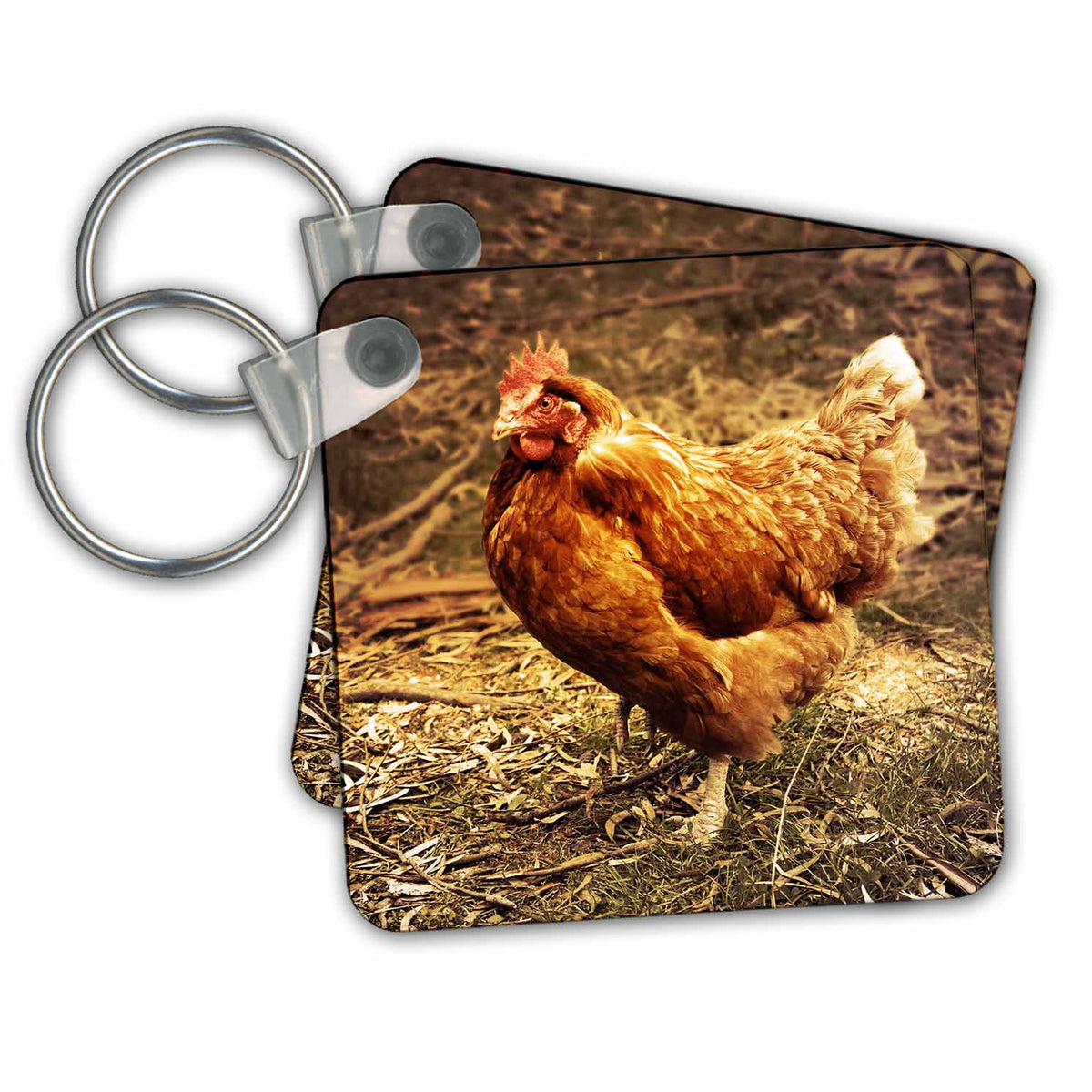 Key Chain - Chicken, rooster, brown Birds