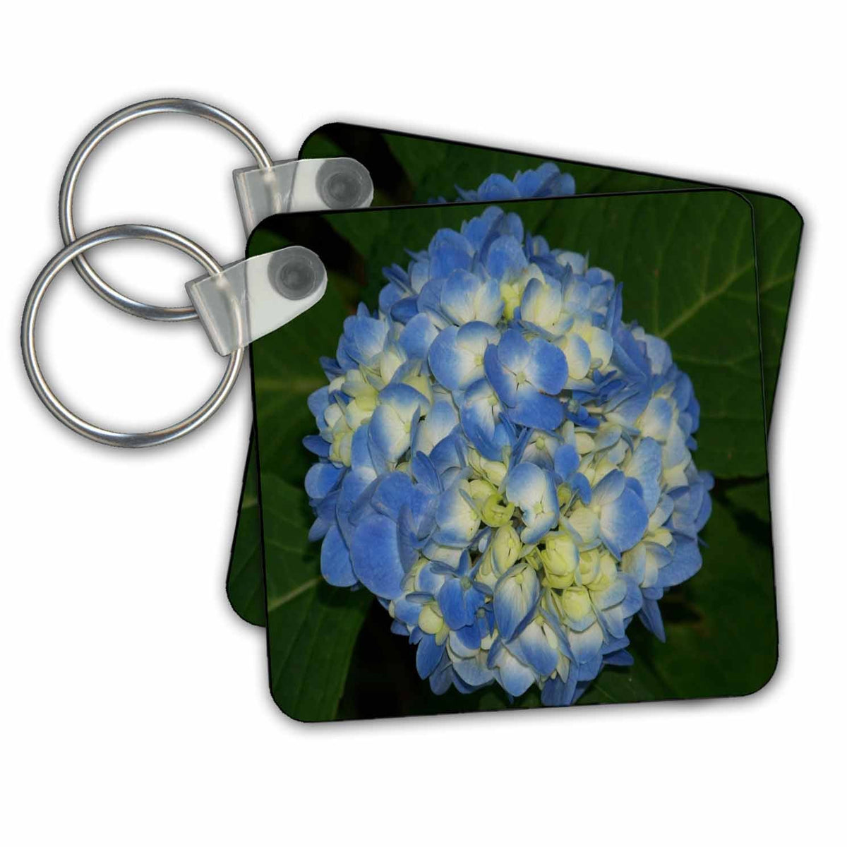 Key Chain - Blue And Yellow Hydrangea Anne Grant Photography Nature Flowers