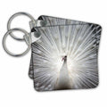 Key Chain - Image of a white peacock Birds