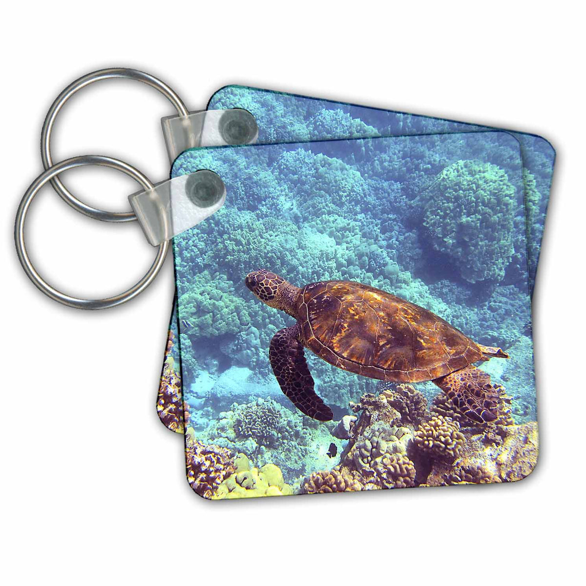 Key Chain - Swimming turtle. Popular print. Wild Animals