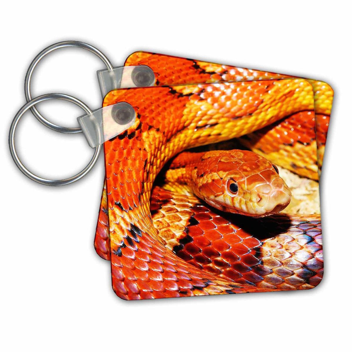 Key Chain - Corn snake. Popular image. Wild Animals
