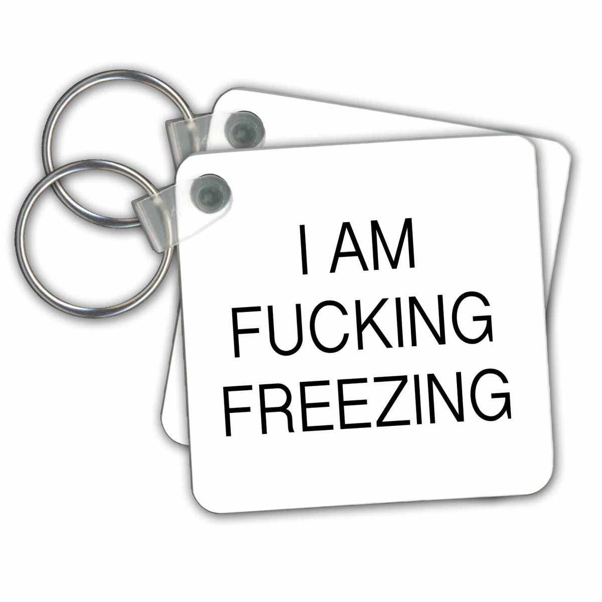 3dRose Key Chains I AM FUCKING FREEZING (kc-232983-1)