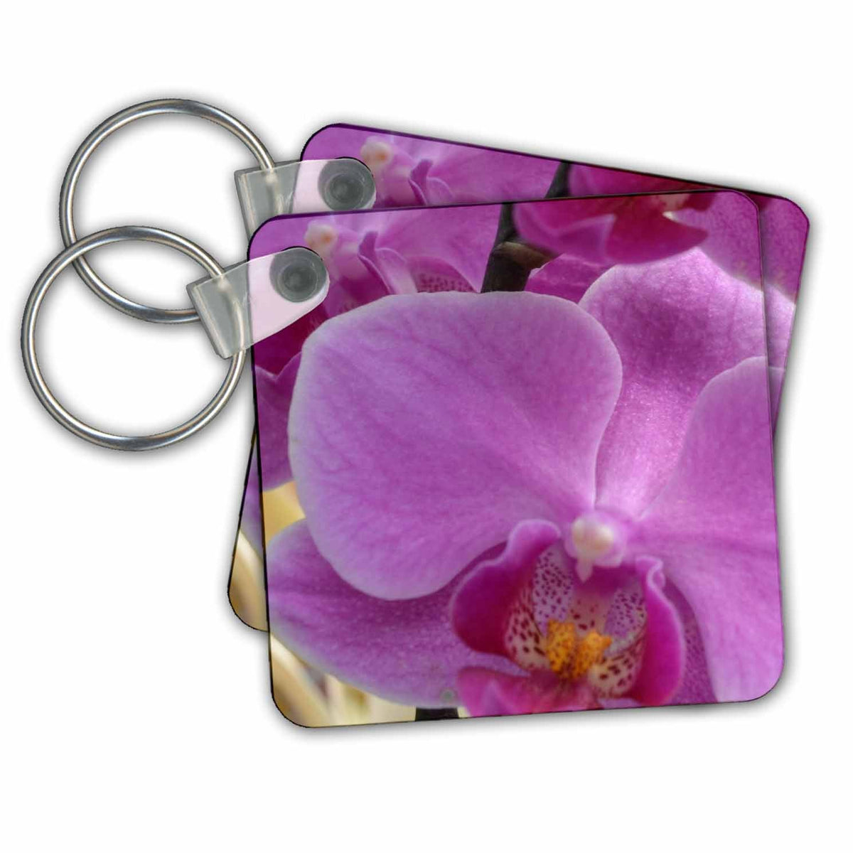 Key Chain - pink orchid flower Sanders Flowers