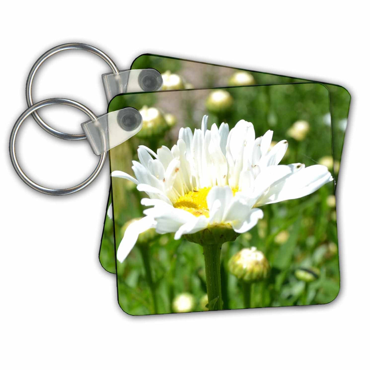 3dRose Key Chains Dancing Daisy (kc-23613-1)