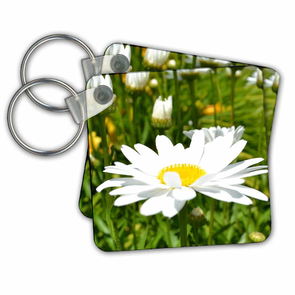 3dRose Key Chains Expressive Daisy (kc-23615-1)