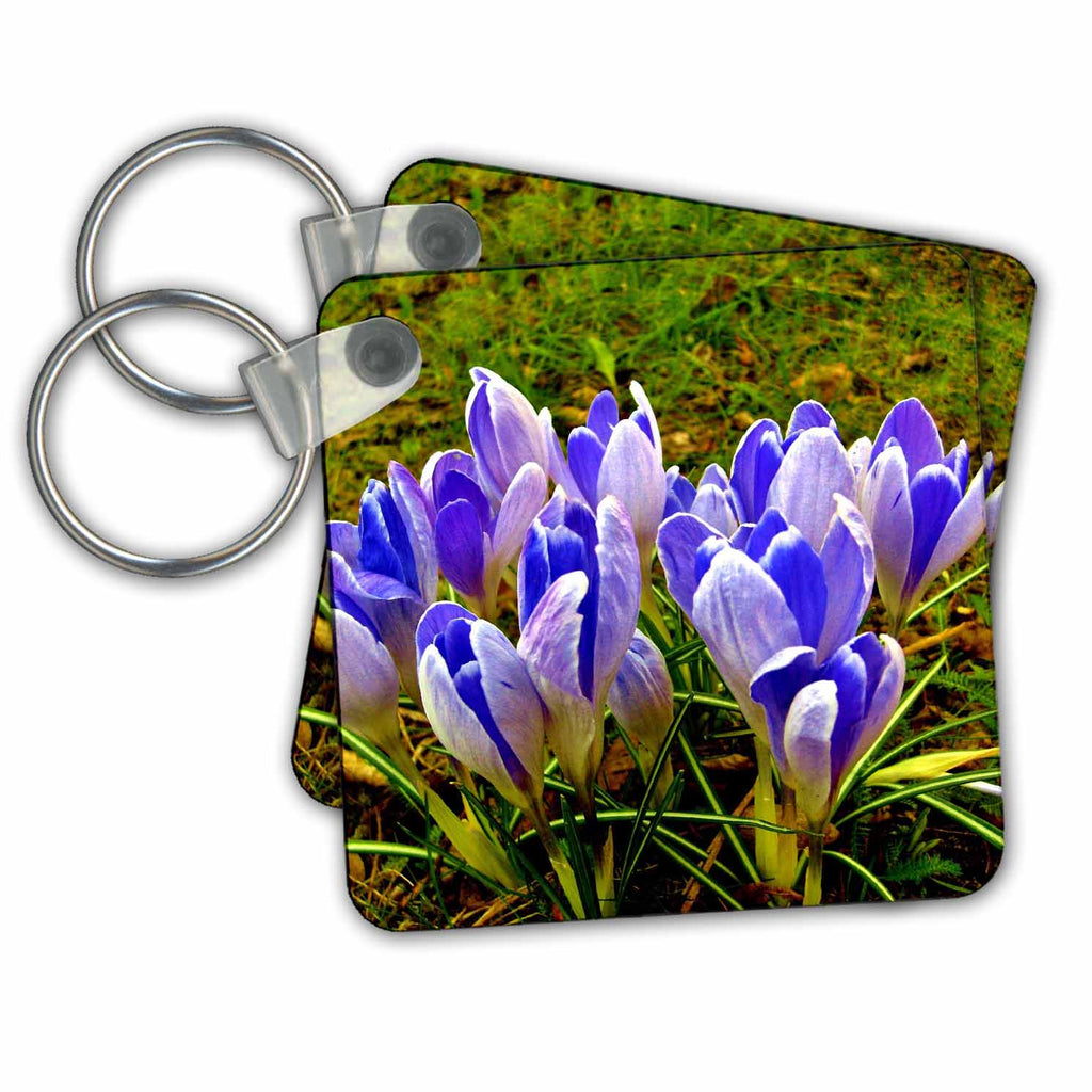 3dRose Key Chains Crocus On The Lawn (kc-236417-1)