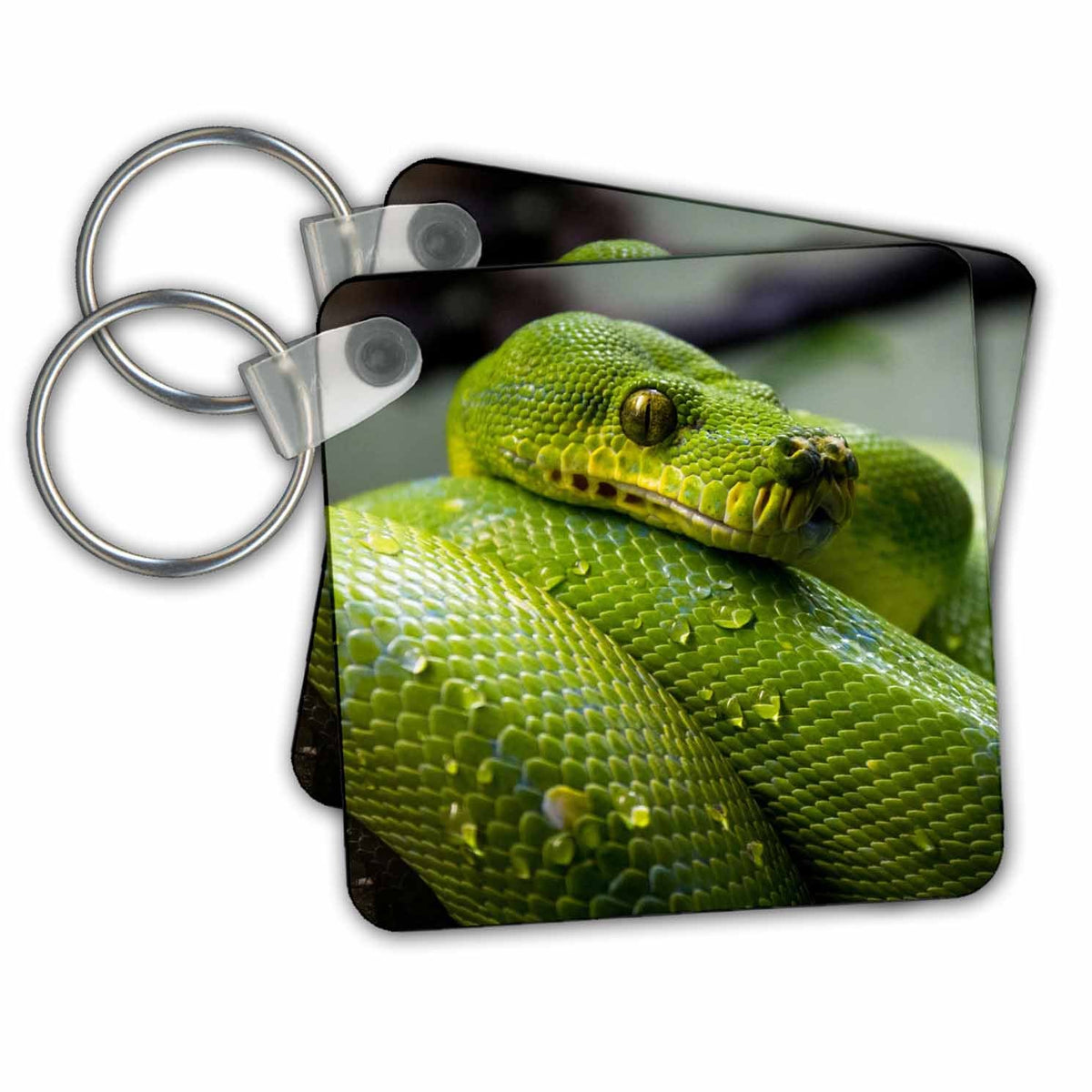 Key Chain - Green Python Snake Reptile