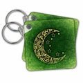 3dRose Key Chains Moon with Green Background (kc-236771-1)