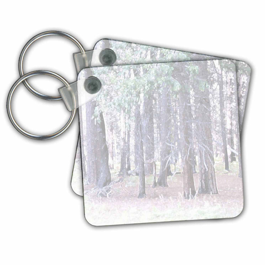 3dRose Key Chains Trees (kc-23677-1)