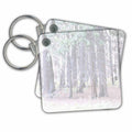 3dRose Key Chains Trees (kc-23677-1)
