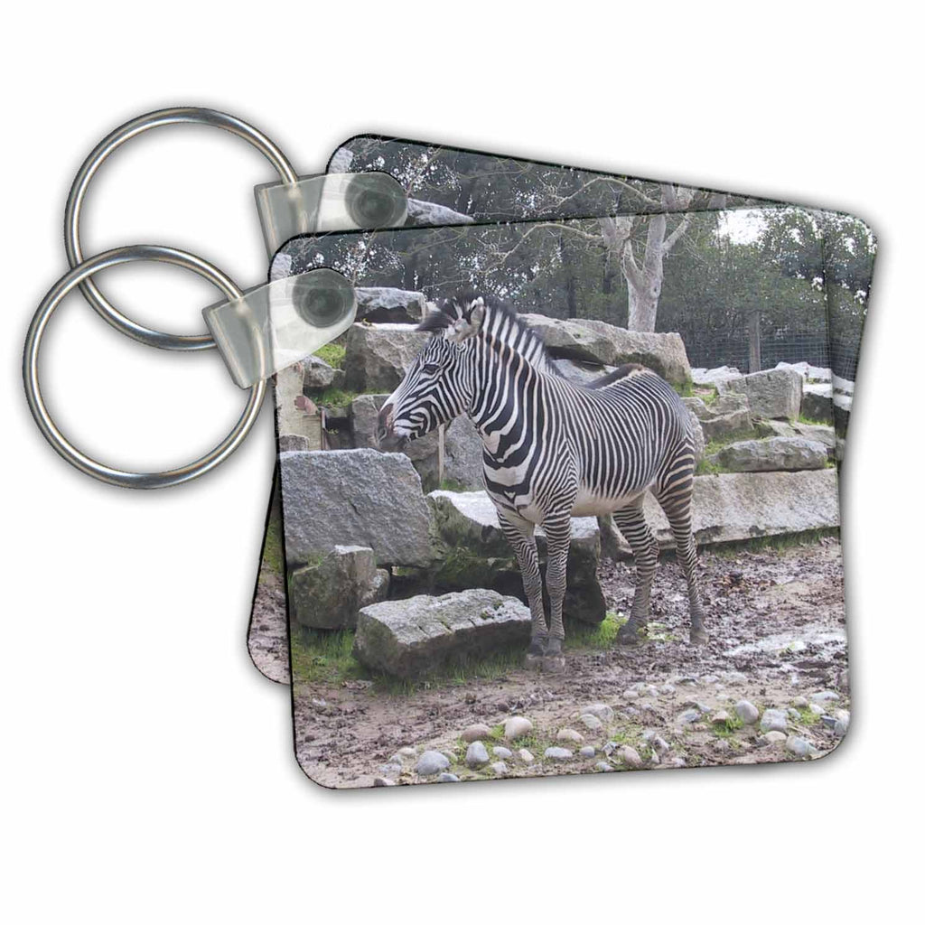 3dRose Key Chains Zebra (kc-23695-1)