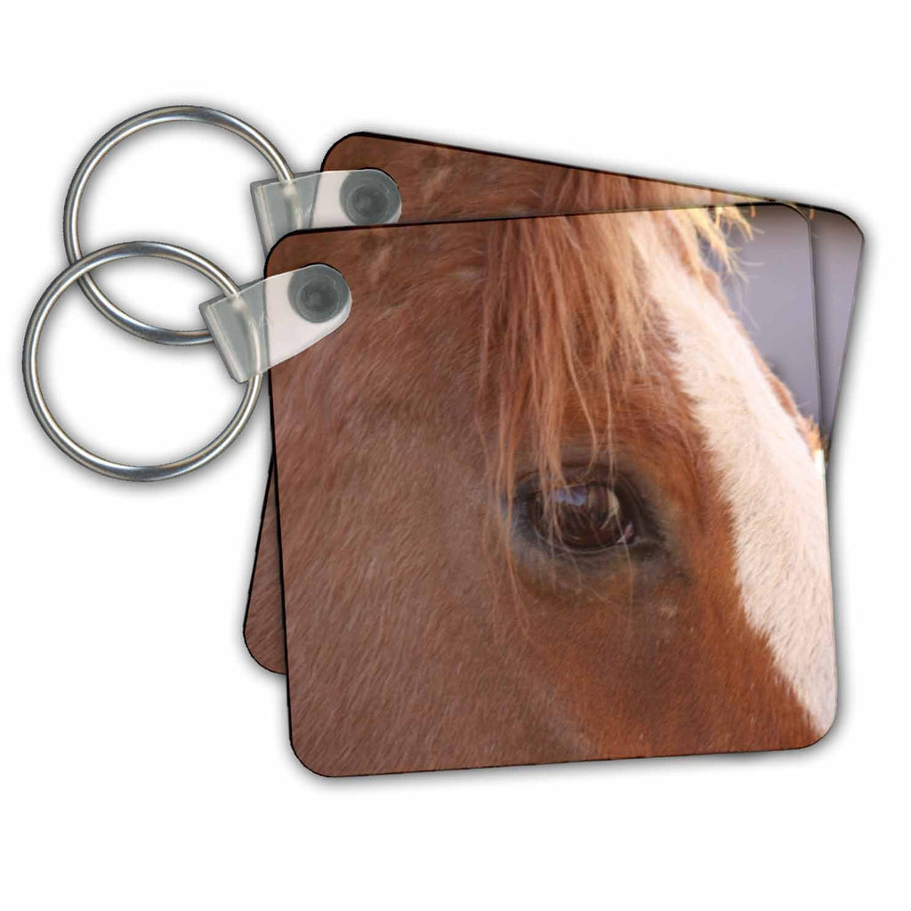 3dRose Key Chains Horse (kc-23698-1)