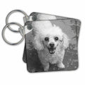 Key Chain - white poodle Wildlife N Nature dogs