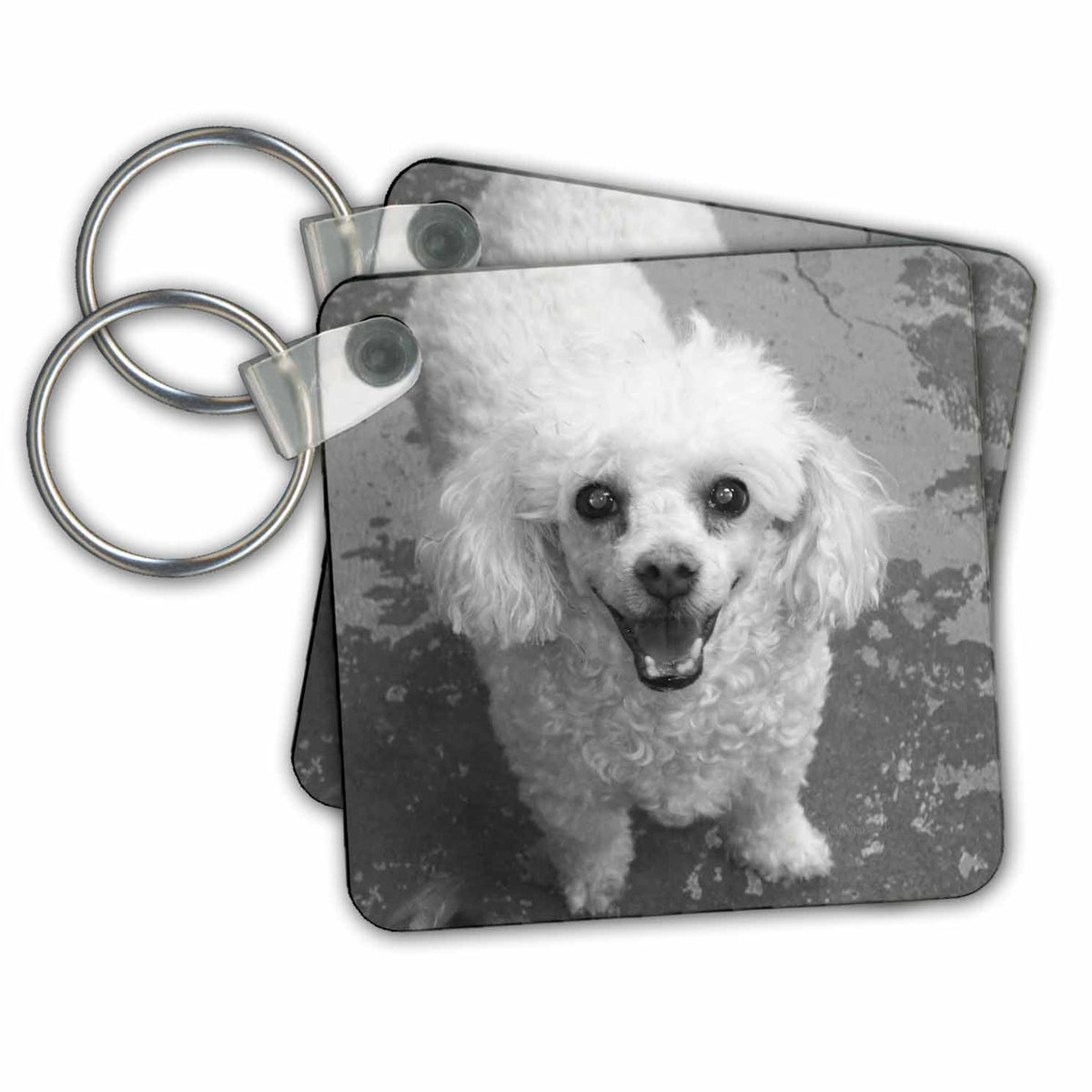Key Chain - white poodle Wildlife N Nature dogs