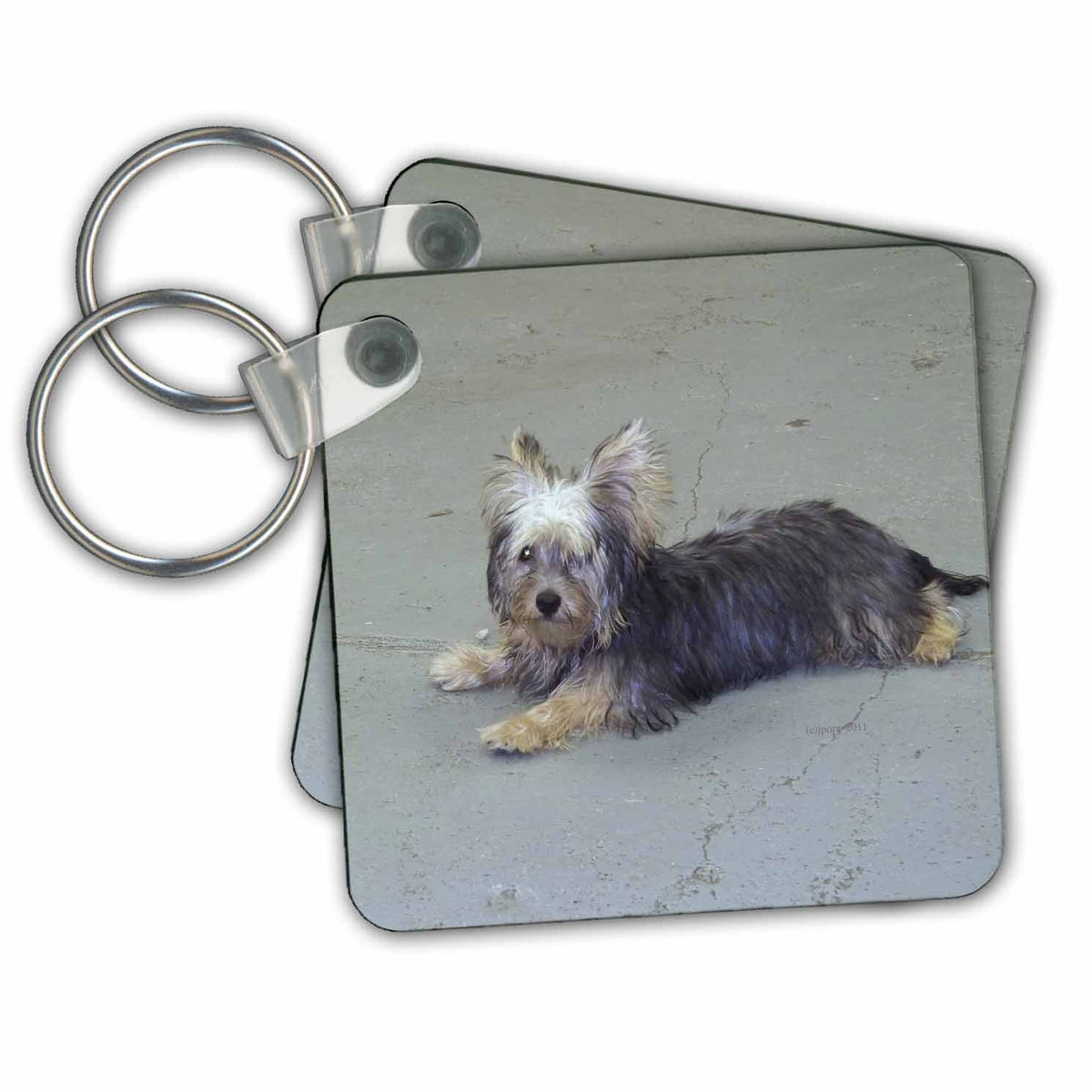 Key Chain - Yorkie Wildlife N Nature dogs
