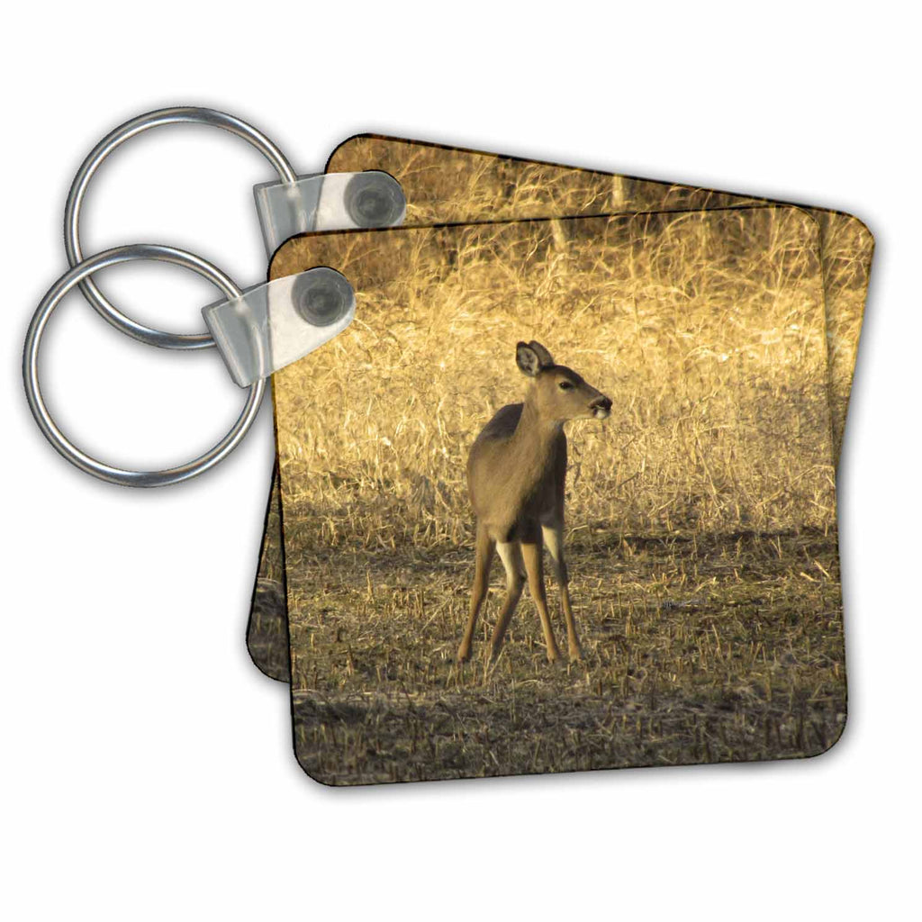 3dRose Key Chains female deer (kc-23811-1)