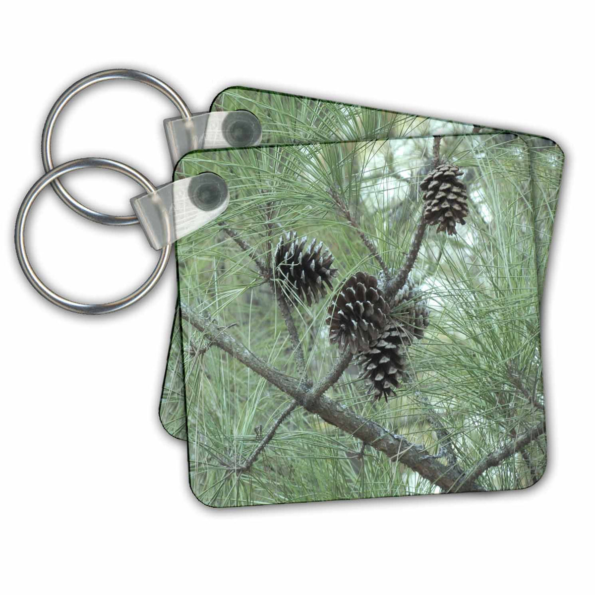 3dRose Key Chains pine cones (kc-23812-1)