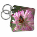 Key Chain - lady bug Wildlife N Nature insects