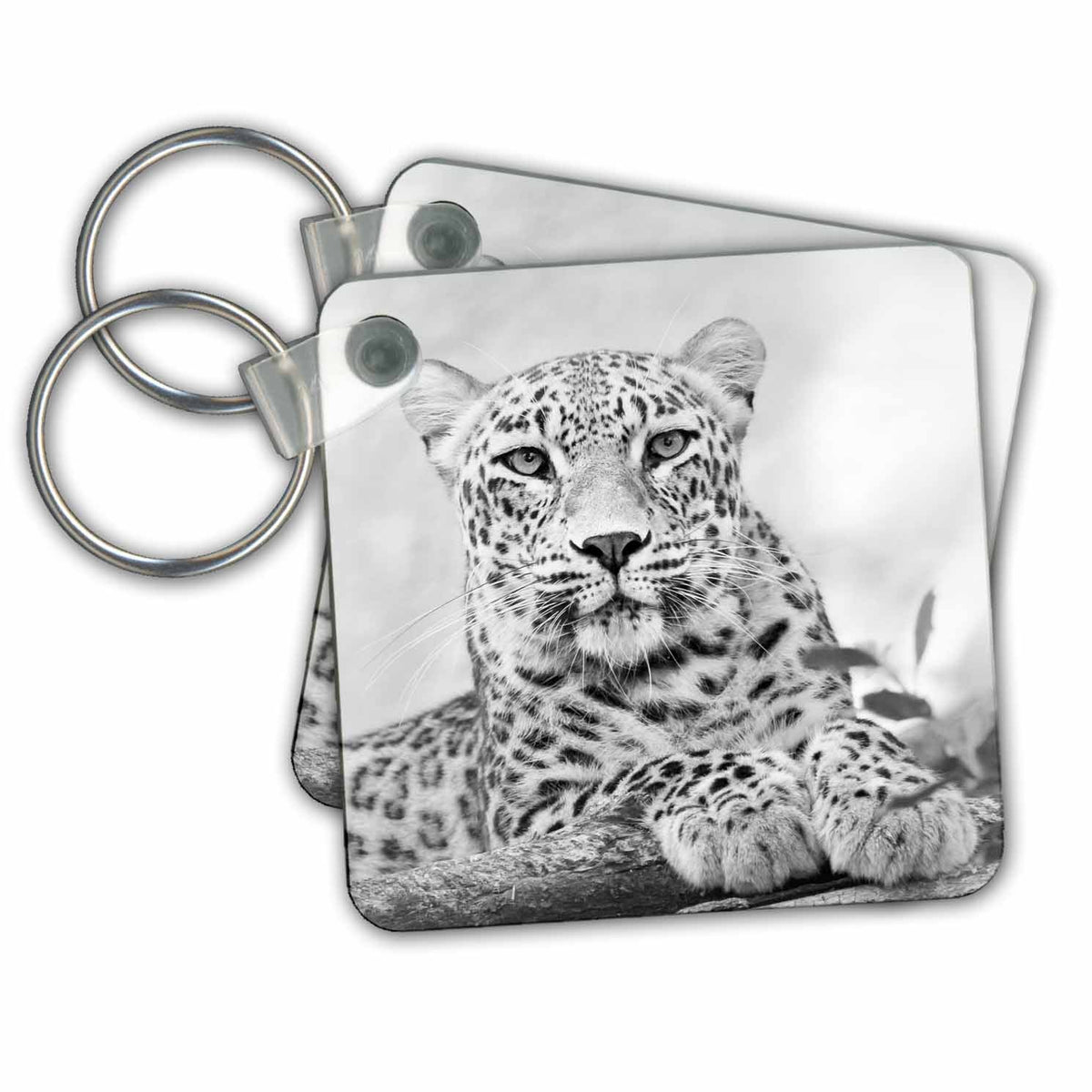 Key Chain - Black and White Jaguar Animal
