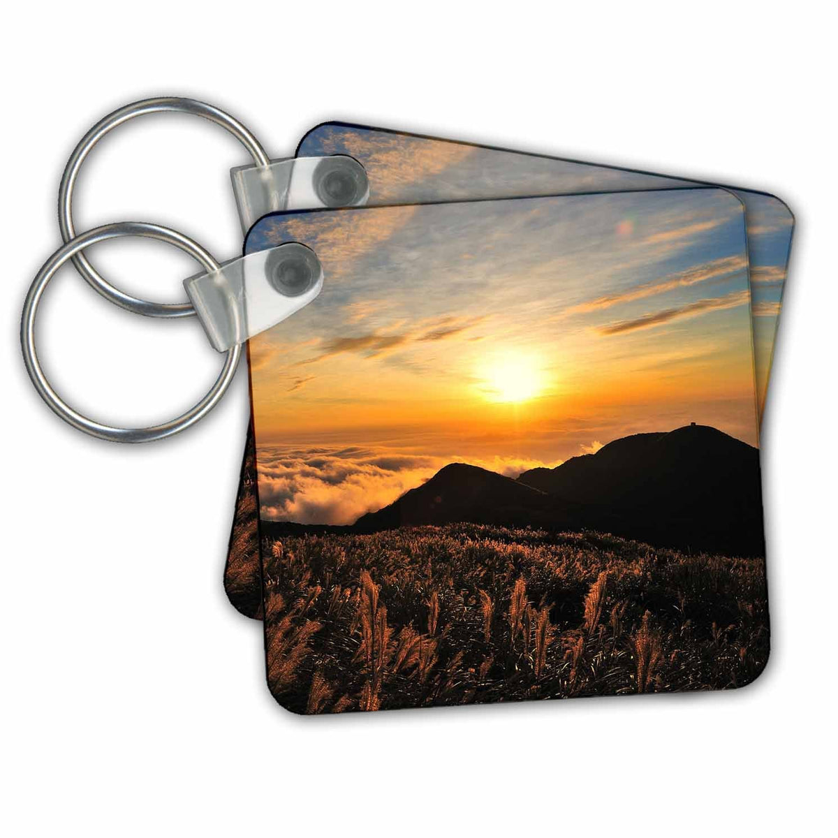 Key Chain - Colorful Sunset in the Park Sunset
