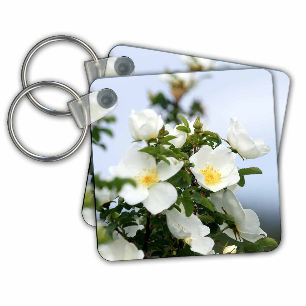 Key Chain - Magnolia Blooms Flora Photography