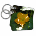Key Chain - Yellow Pumpkin Flower Flora Photography