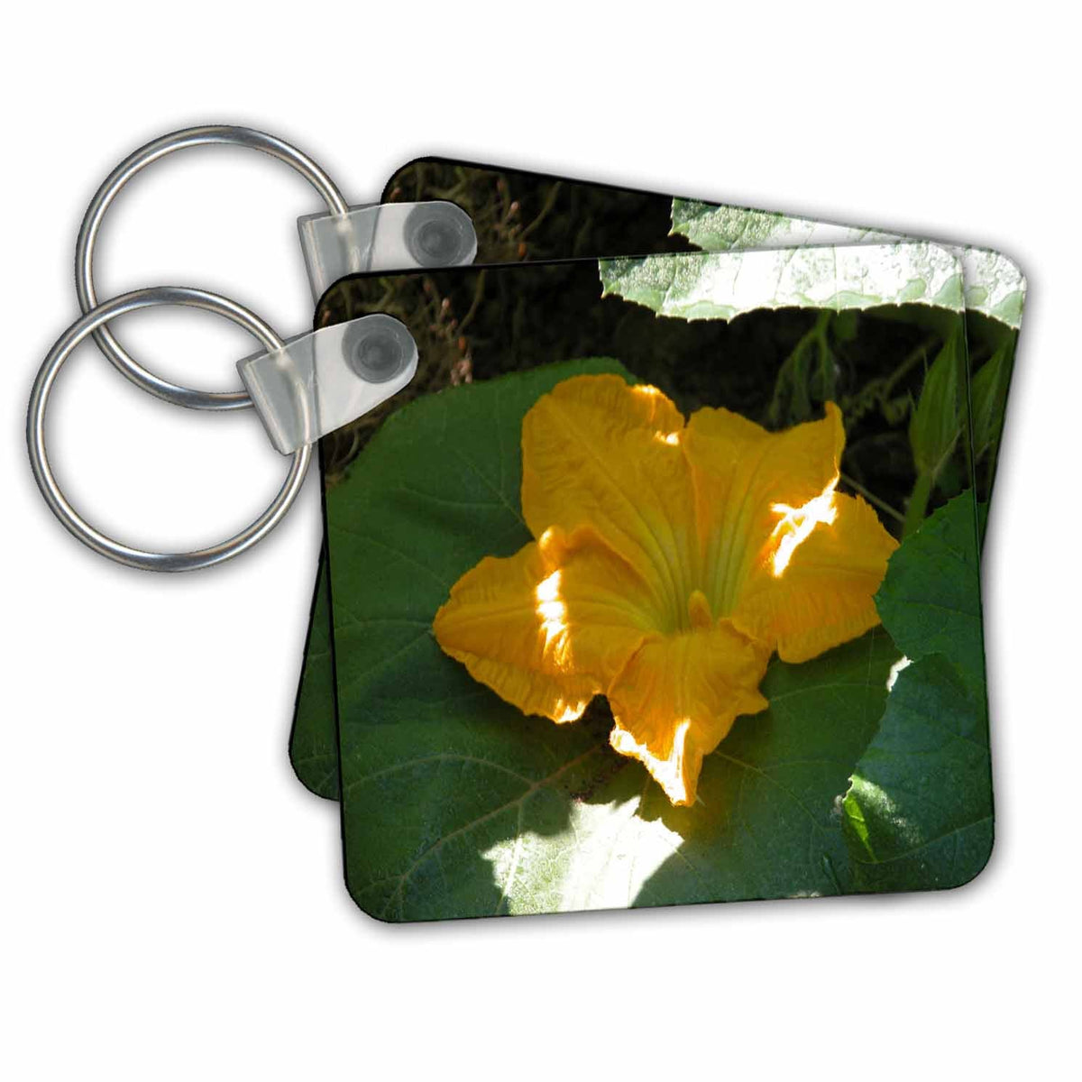 Key Chain - Yellow Pumpkin Flower Flora Photography