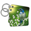Key Chain - Scrub Jay Designs 2016