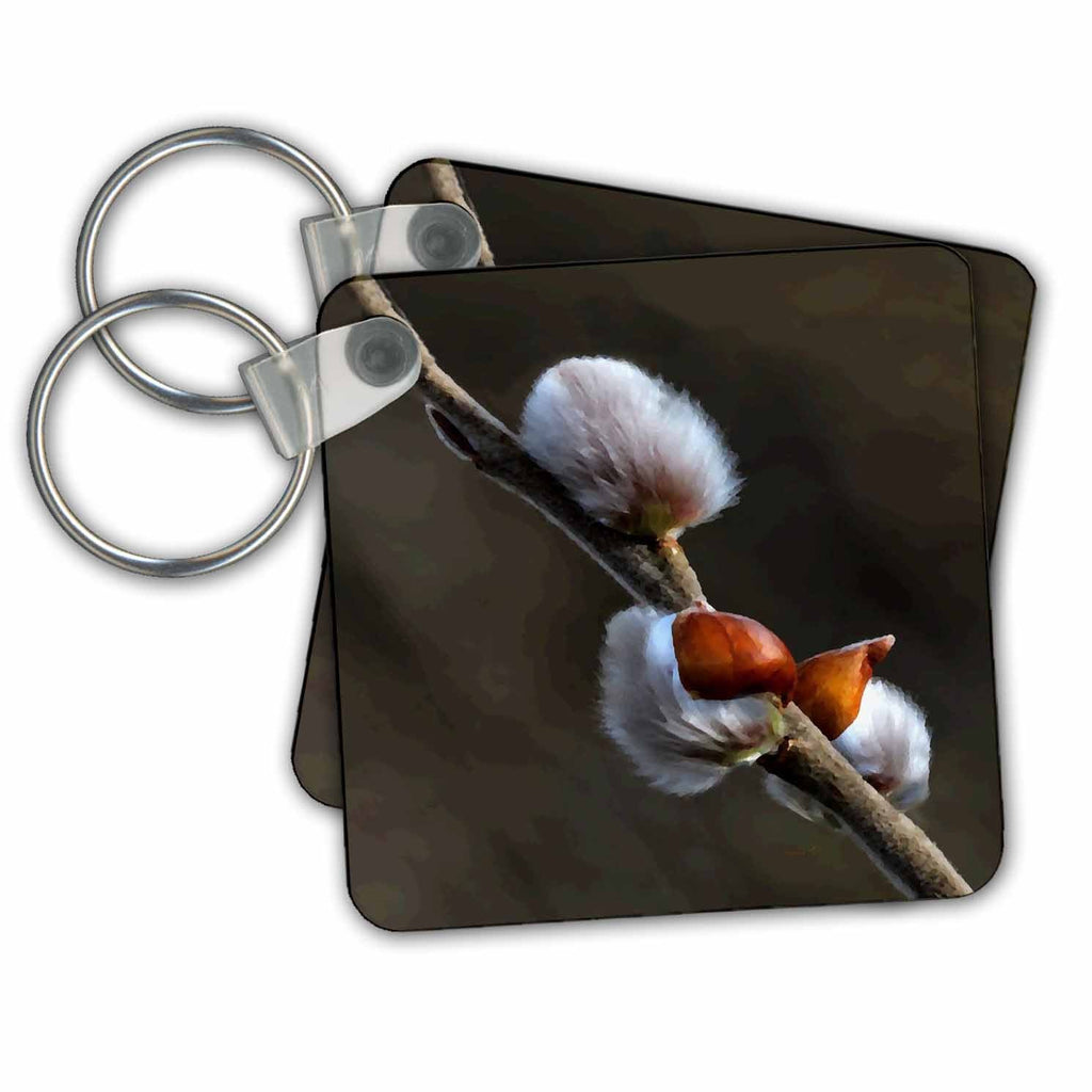 3dRose Key Chains Pussy Willows (kc-239340-1)