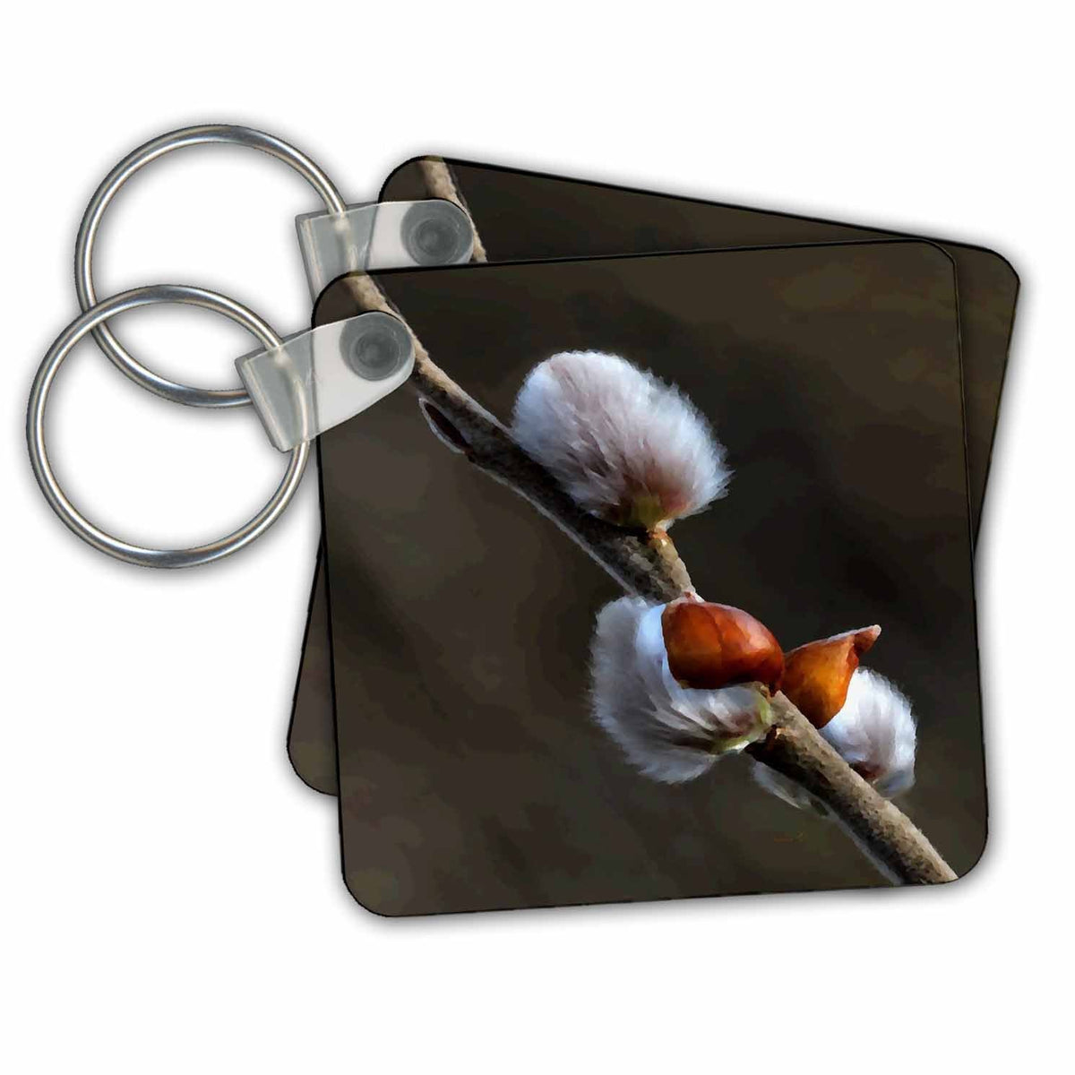 3dRose Key Chains Pussy Willows (kc-239340-1)