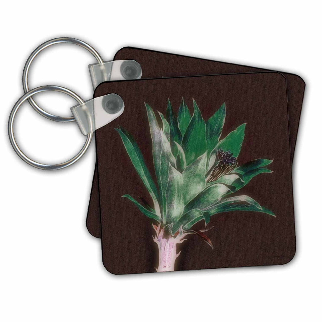 3dRose Key Chains Cactus (kc-239348-1)